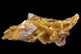 Wulfenite Crystals Cluster - Mexico #67699-1